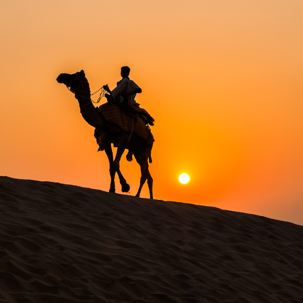 2. Detailed Itinerary For Classical Rajasthan Tour