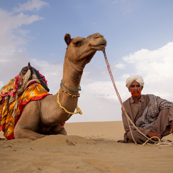 4. Detailed Itinerary for Vibrant Rajasthan Tour