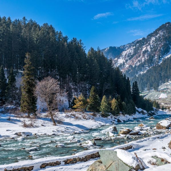 6. Detailed Itinerary for Kashmir and Ladakh Tour